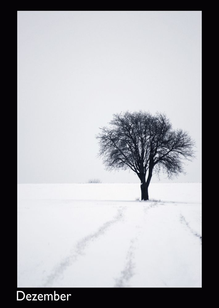 Preview Kalender 2019_12.jpeg